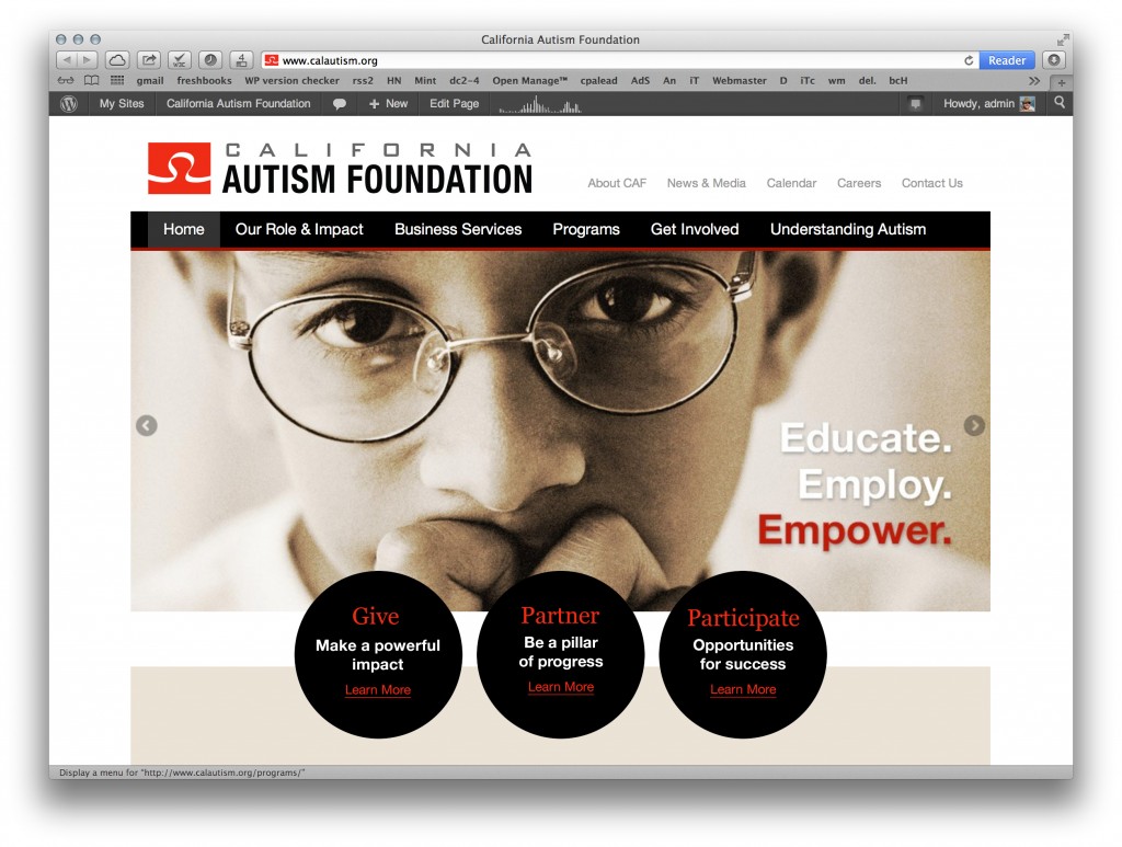New California Autism Foundation site
